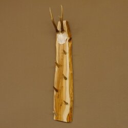 Key rack antler bar handmade key unique 6 hooks deer antler 27.8.117