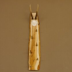 Key rack antler bar handmade key unique 6 hooks deer antler 27.8.117