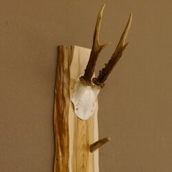 Key rack antler bar handmade key unique 6 hooks deer antler 27.8.117