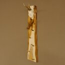 Key rack antler deer antler handmade key unique 5 prongs...
