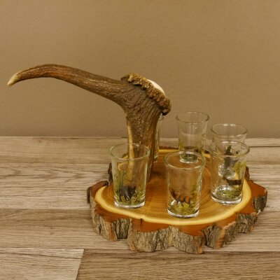 Proveedor de aguardiente en tabla de aguardiente con escudo de acacia H18 cm. Asa con forma de asta de ciervo rojo con 6 vasos de colores vivos. Motivo de caza. Motivo animal. 27.7.3.10
