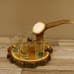 Proveedor de aguardiente en tabla de aguardiente con escudo de acacia H18 cm. Asa con forma de asta de ciervo rojo con 6 vasos de colores vivos. Motivo de caza. Motivo animal. 27.7.3.10