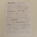 Baboons Baboon Skull Monkey Length 22 cm Baboon with certificate of origin