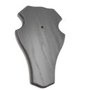 1 piece deer buck trophy plaque, large, with 1 jaw compartment, dark oak AF 21 x 13 cm