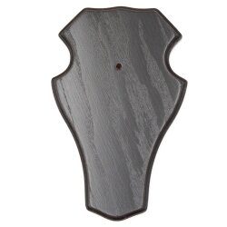 1 piece deer buck trophy plaque, large, with 1 jaw compartment, dark oak AF 21 x 13 cm