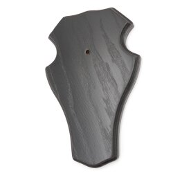 1 piece deer buck trophy plaque, large, with 1 jaw compartment, dark oak AF 21 x 13 cm