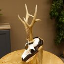 Deer antlers, medal class bronze, 365 g, CIC 106.55, IP HL up to 24.1 cm, buck deer antlers, horns, shield