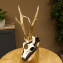 Deer antlers, medal class bronze, 365 g, CIC 106.55, IP HL up to 24.1 cm, buck deer antlers, horns, shield