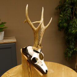 Deer antlers, medal class bronze, 365 g, CIC 106.55, IP HL up to 24.1 cm, buck deer antlers, horns, shield