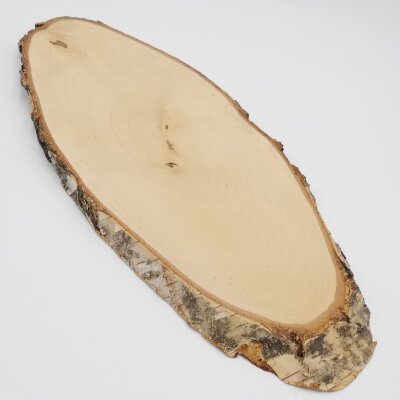 Birch Red Deer AF 51 cm Deer Shield Trophy Shield Antlers Tree Disc Tree Shield Natural Wood Modern