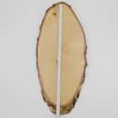 Birch Red Deer AF 51 cm Deer Shield Trophy Shield Antlers Tree Disc Tree Shield Natural Wood Modern