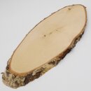 Birch Red Deer AF 51 cm Deer Shield Trophy Shield Antlers Tree Disc Tree Shield Natural Wood Modern