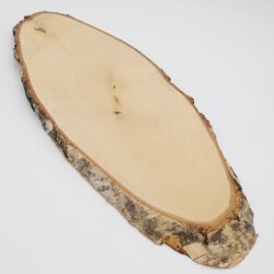 Birch Red Deer AF 51 cm Deer Shield Trophy Shield Antlers Tree Disc Tree Shield Natural Wood Modern