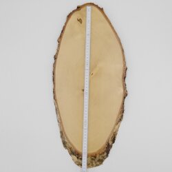 Birch Red Deer AF 51 cm Deer Shield Trophy Shield Antlers Tree Disc Tree Shield Natural Wood Modern