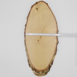 Birch Red Deer AF 51 cm Deer Shield Trophy Shield Antlers Tree Disc Tree Shield Natural Wood Modern