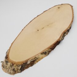 Birch Red Deer AF 51 cm Deer Shield Trophy Shield Antlers Tree Disc Tree Shield Natural Wood Modern