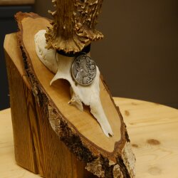 Cuernos de corzo, medalla de plata, 385 g, CIC 119,95 IP HL, hasta 27,5 cm, corzo de gran tamaño, cuernos, escudo.