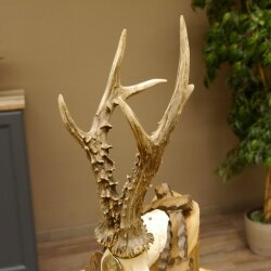 Rehgeweih Medaillenklasse Silber 400 g CIC 121,33 IP HL bis 27,1 cm hochkapitaler Bock Reh Geweih Gehörn Schild