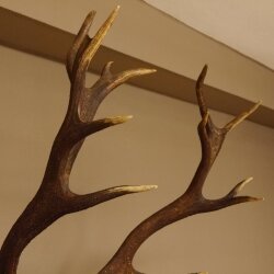Roodhertengewei, ongeveer 18 punten, hoogte 112 cm, hertengewei, trofeeplaat 70.1027