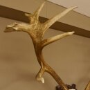 Rothirschgeweih 16 ender Hirsch Höhe 124 cm Hirschgeweih Geweih geschnitztem Trophäenschild 70.1019