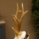 Rehgeweih Drei-Stangen-Bock abnormer Bock Reh Geweih Gehörn Trophäenschild 610.207