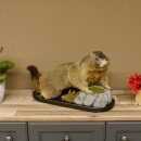 Preparado de marmota Altura 50 cm sobre madera con piedra decorativa Trofeo Marmota 89.12.72