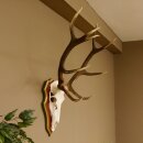 Bois de cerf rouge 6 cors Hauteur 59 cm Bois de cerf...