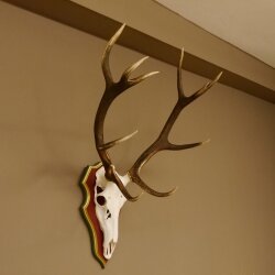 Corna di cervo rosso 6 punte Altezza 59 cm Corna di cervo Trofeo intagliato 70.1031
