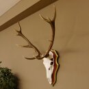 Rothirschgeweih ungerader 12 Ender Hirsch Geweih auf ZIRBENHOLZ Trophäenschild Höhe 93 cm Hirschgeweih 70.1045