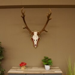 Rothirschgeweih 14 Ender Hirsch Geweih auf ZIRBENHOLZ Trophäenschild Höhe 99 cm Hirschgeweih 70.1048