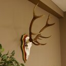 Bois de cerf rouge 6 cors Hauteur 59 cm Bois de cerf...