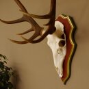 Rothirschgeweih ungerader 16 Ender Hirsch Geweih auf ZIRBENHOLZ Trophäenschild Höhe 87 cm Hirschgeweih 70.1049