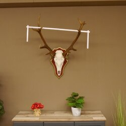 Rothirschgeweih ungerader 16 Ender Hirsch Geweih auf ZIRBENHOLZ Trophäenschild Höhe 87 cm Hirschgeweih 70.1049