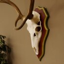 Rothirschgeweih 6 Ender Hirsch Geweih auf ZIRBENHOLZ Trophäenschild Höhe 80 cm Hirschgeweih 70.1056