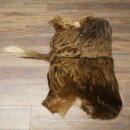 White-tailed gnu Gnu Wildebeest Head + hide Shoulder mount Head mount Height 60 cm 95.9.21