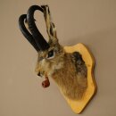 Liebre con silbato Liebre Wolpi Gamo Wolpi Liebre Wolpertinger Wolpi Preparado en placa de trofeo n.º 141