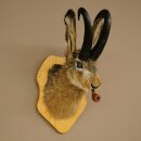 Liebre con silbato Liebre Wolpi Gamo Wolpi Liebre Wolpertinger Wolpi Preparado en placa de trofeo n.º 141