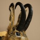 Liebre con silbato Liebre Wolpi Gamo Wolpi Liebre Wolpertinger Wolpi Preparado en placa de trofeo n.º 141