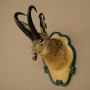 Hasenbock mit Pfeife Hasenwolpi Gamsschlauch Hase Bock Wolpertinger Wolpi Präparat auf geschnitztem Trophäenschild #142
