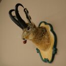 Hasenbock mit Pfeife Hasenwolpi Gamsschlauch Hase Bock Wolpertinger Wolpi Präparat auf geschnitztem Trophäenschild #142
