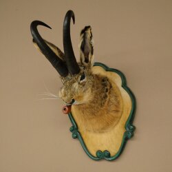 Hasenbock mit Pfeife Hasenwolpi Gamsschlauch Hase Bock Wolpertinger Wolpi Präparat auf geschnitztem Trophäenschild #142