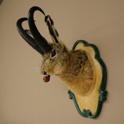 Hasenbock mit Pfeife Hasenwolpi Gamsschlauch Hase Bock Wolpertinger Wolpi Präparat auf geschnitztem Trophäenschild #142