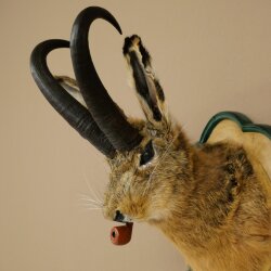 Hasenbock mit Pfeife Hasenwolpi Gamsschlauch Hase Bock Wolpertinger Wolpi Präparat auf geschnitztem Trophäenschild #142