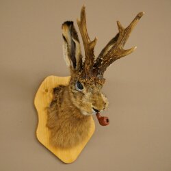 Conejo con silbato Cuernos de ciervo Conejo Ciervo Wolpertinger Wolpi Conejo Wolpi Preparado en placa de trofeo n.º 44