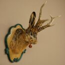 Lepre con fischietto Corna di capriolo Lepre Capriolo Wolpertinger Wolpi Lepre Wolpi Preparato su trofeo intagliato #45