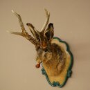 Lepre con fischietto Corna di capriolo Lepre Capriolo Wolpertinger Wolpi Lepre Wolpi Preparato su trofeo intagliato #45