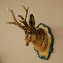 Lepre con fischietto Corna di capriolo Lepre Capriolo Wolpertinger Wolpi Lepre Wolpi Preparato su trofeo intagliato #45