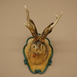 Lepre con fischietto Corna di capriolo Lepre Capriolo Wolpertinger Wolpi Lepre Wolpi Preparato su trofeo intagliato #45