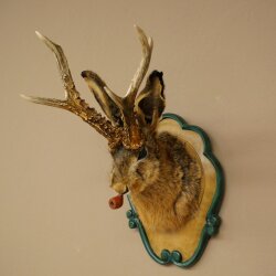 Lepre con fischietto Corna di capriolo Lepre Capriolo Wolpertinger Wolpi Lepre Wolpi Preparato su trofeo intagliato #45
