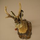 Hasenwolpi Liebre macho con silbato Cuernos de ciervo Liebre macho Wolpertinger Wolpi Preparado sobre placa trofeo tallada
